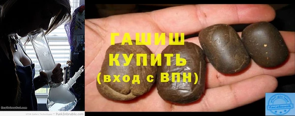индика Алзамай