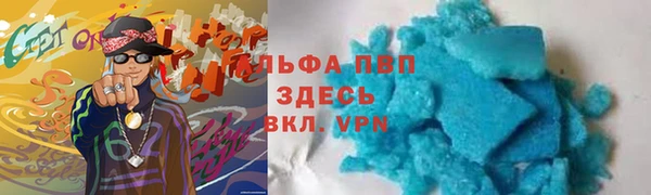 индика Алзамай