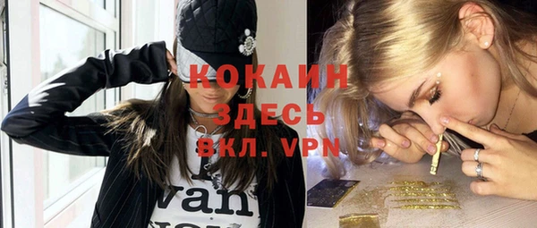 индика Алзамай