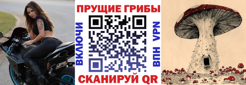 MEGA ТОР цены Льгов Галлюциногенные грибы мухоморы